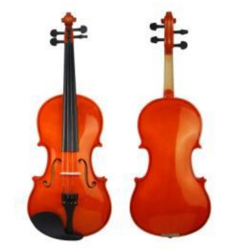 Фото FVP-01A-4/4 Скрипка студенческая 4/4, с футляром и смычком, Foix