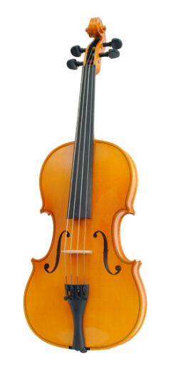 Фото Скрипка Karl Hofner  H11-V 4/4