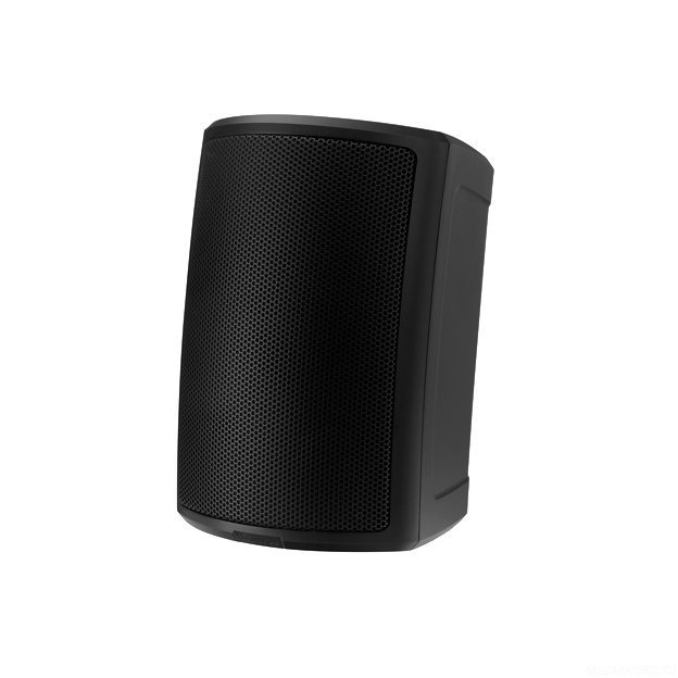 Фото Пассивная акустическая система Tannoy AMS 5ICT