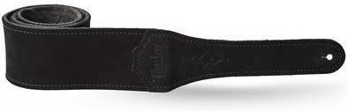 Фото TAYLOR 3250-06 GemStone Strap