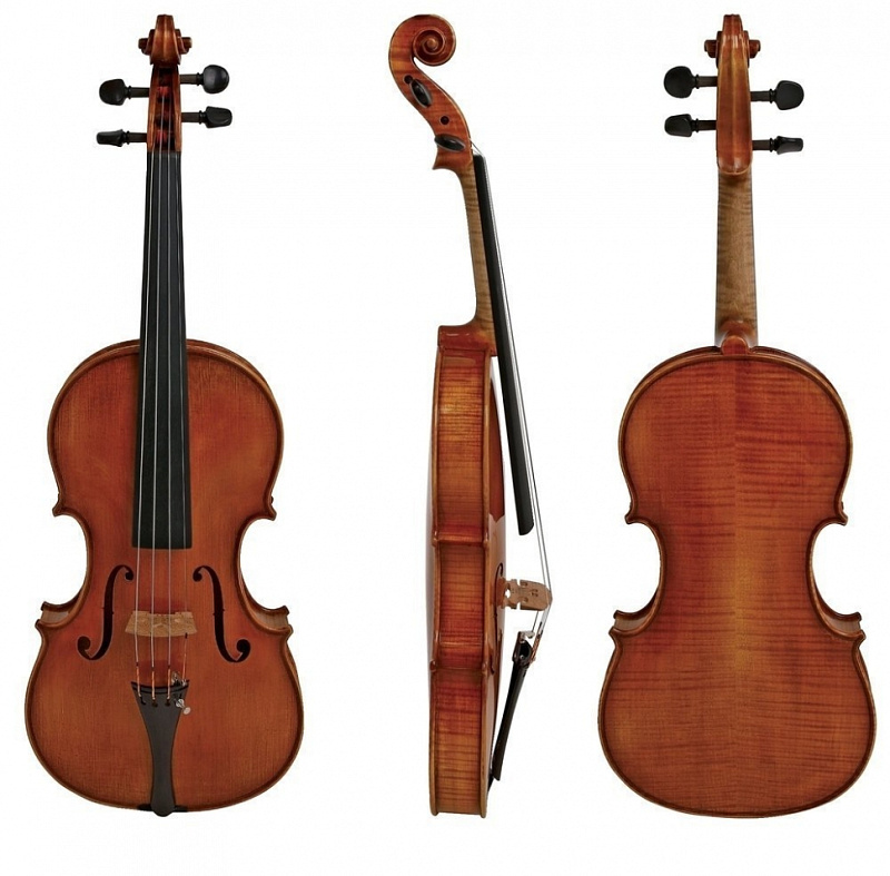 Фото GEWA Concert violin Georg Walther 