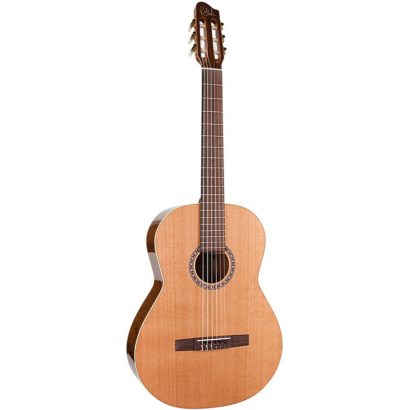 Фото Godin CONCERT