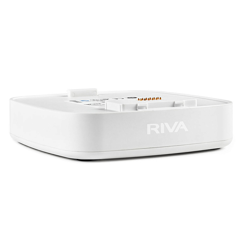 Фото Беспроводные решения / мультирум RIVA Audio Arena Battery