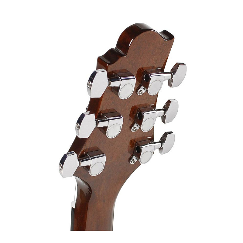 Фото Акустическая гитара GREG BENNETT GJ100S/N