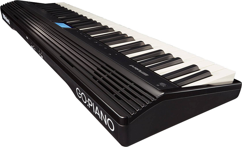 Фото Roland GO-61P