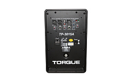 Активная акустическая система Torque TP3015A
