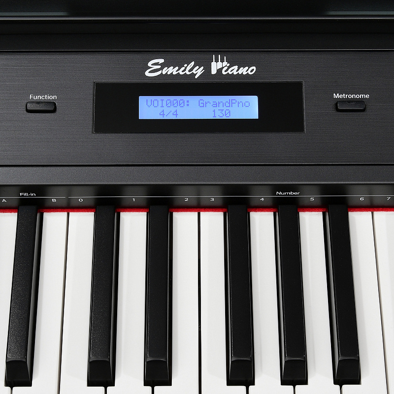 Фото Цифровое фортепиано EMILY PIANO D-22 BK