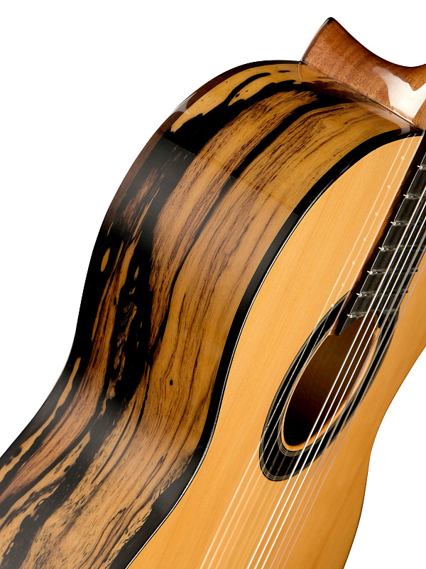 Фото Классическая гитара Alhambra 8.891V Classical Conservatory 6 White Ebony