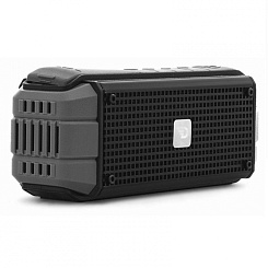 Портативная акустическая система DREAMWAVE Explorer graphite