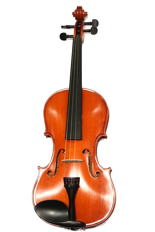 Фото Скрипка 1/8 Euphony V75 