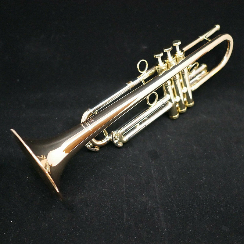 Фото Schagerl Academica Signature James Morrison Large Bore JM1X-L Bb