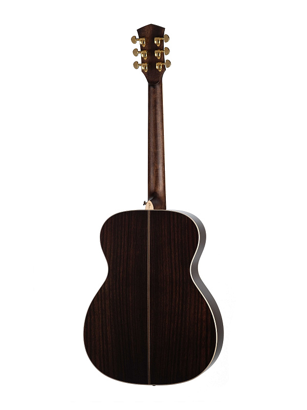 Фото Акустическая гитара Parkwood P820ADK-WCASE-NAT