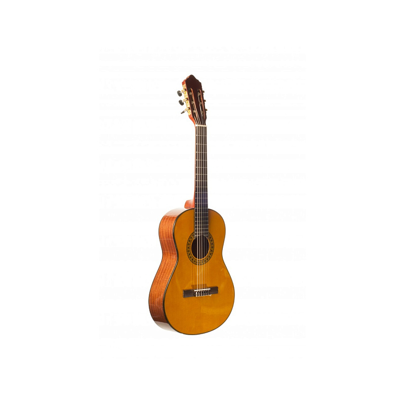 Классические barcelona cg35 1/2 в магазине Music-Hummer