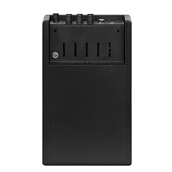 Комбоусилитель акустический Acus One ForStrings 4Ferdi Black