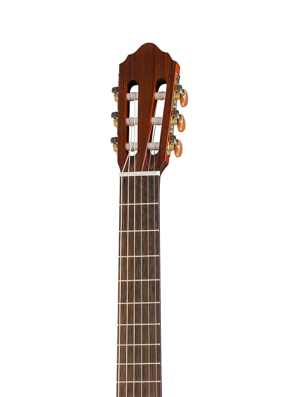 Фото Классическая гитара Cort AC200-4/4-OP Classic Series