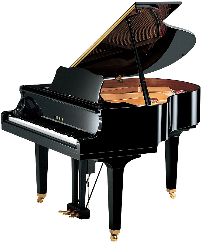 Фото Yamaha DGB1KENSTPAW 