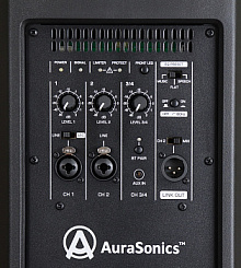 Активная акустическая система AuraSonics SOLO D12